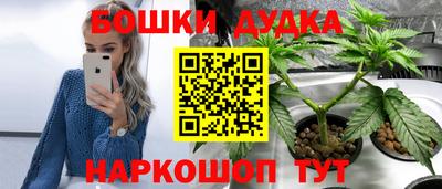 Альфа ПВП Будённовск