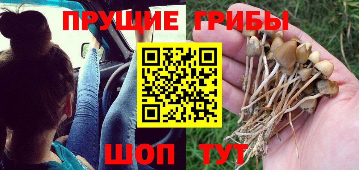 Галлюциногенные грибы Psilocybe  Псилоцибиновые грибы мухоморы  Котлас  Вход с VPN 
